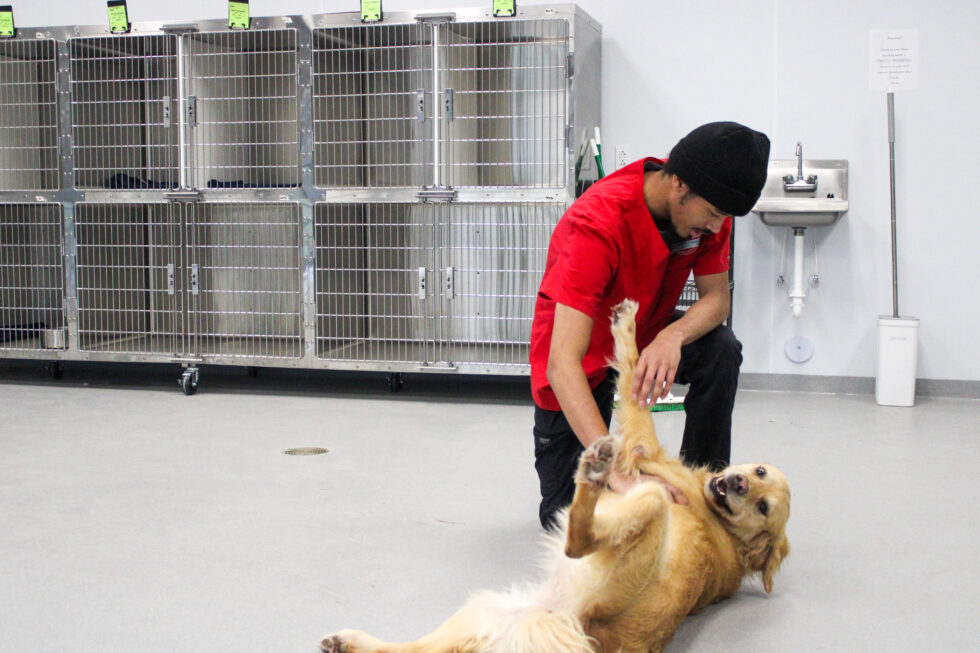 Creature Comforts Inn Durham, NC Veterinary Hospital