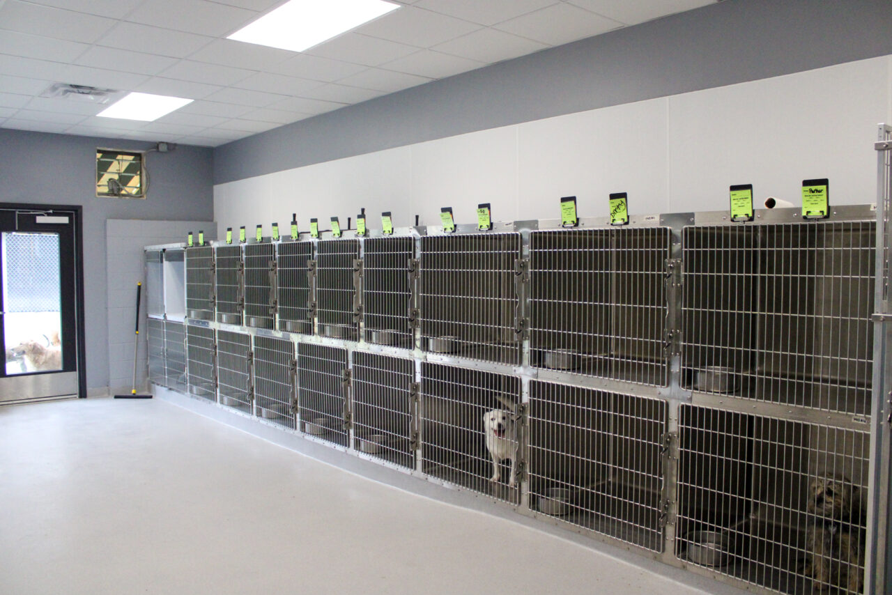 Creature Comforts Inn Durham, NC Veterinary Hospital