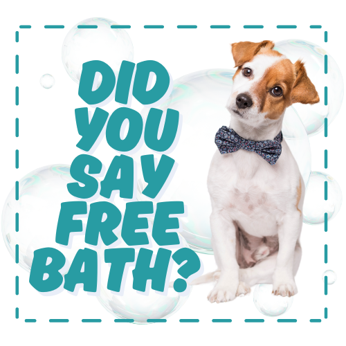 SqFreeBath